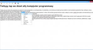 Компьютерная программа для проверки орфографии туркменского языка.